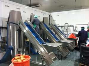 production lines installed