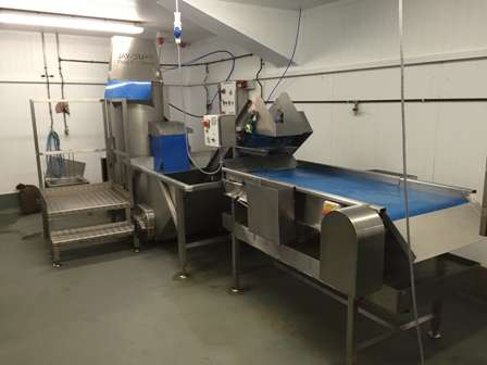 Used Peeling Lines UK