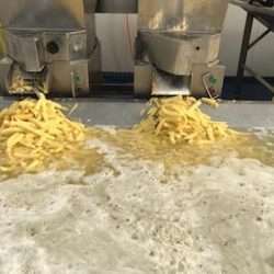 Potato Peeling and Chipping