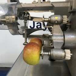 Apple peeler