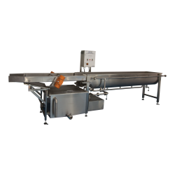 Standard Salad Flume Washer