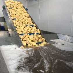 Food Machinery for sale