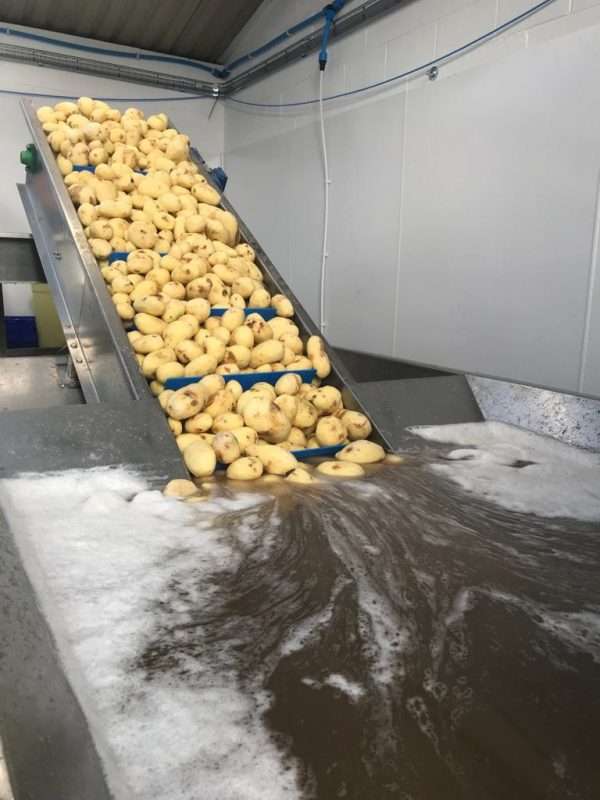 Food Machinery for sale