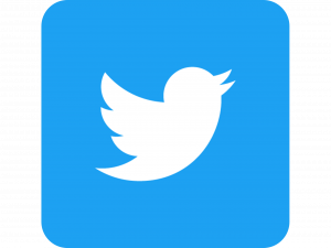 Twitter Jaycraft Food Machinnery
