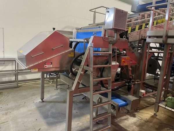 Nimbus colour sorting machine