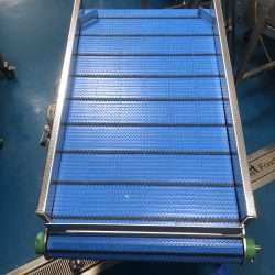 Used Incline Conveyor