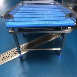 Used Incline Conveyor