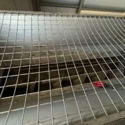 waste press with starch recovery