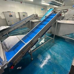 Used Complete Peeling line