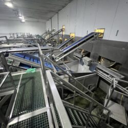Continuous potato peeling line
